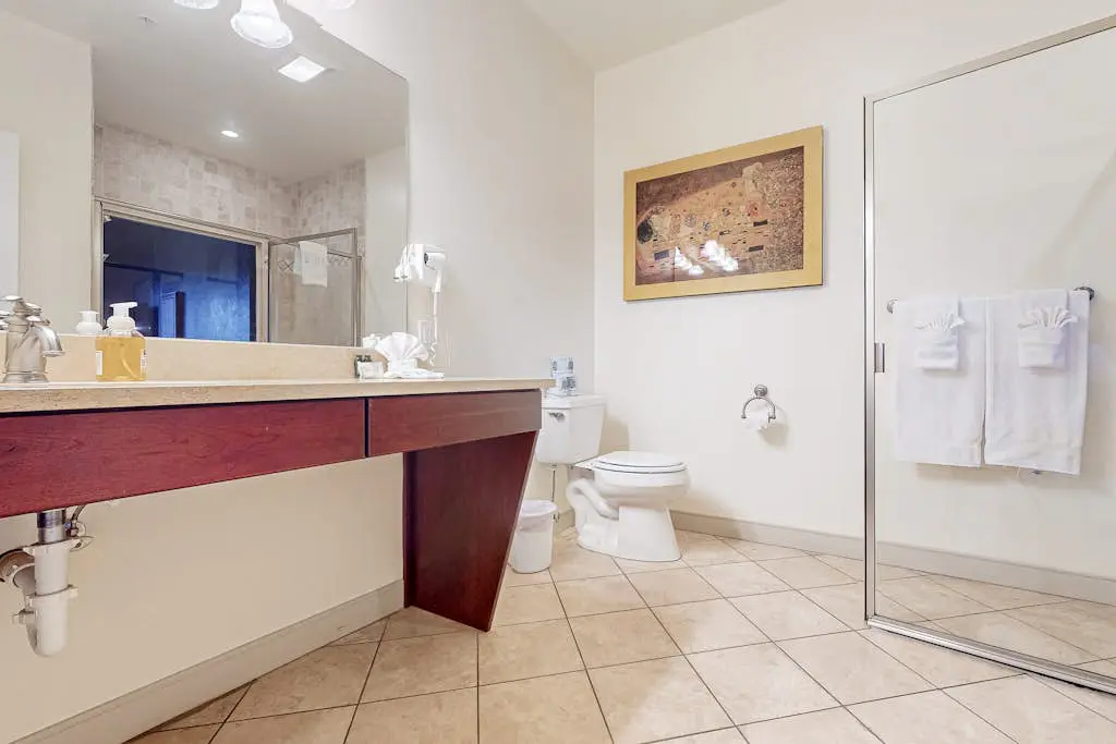 Delton Grand Resort #406