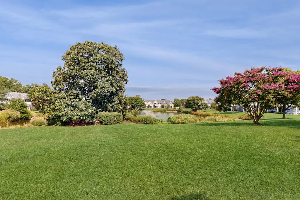 Spring Lake - 38167 West Dr, Unit #716