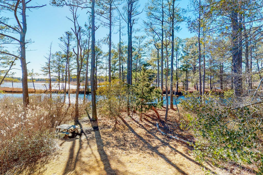 Town of South Bethany - Cat Hill - 436 Tamarack Dr