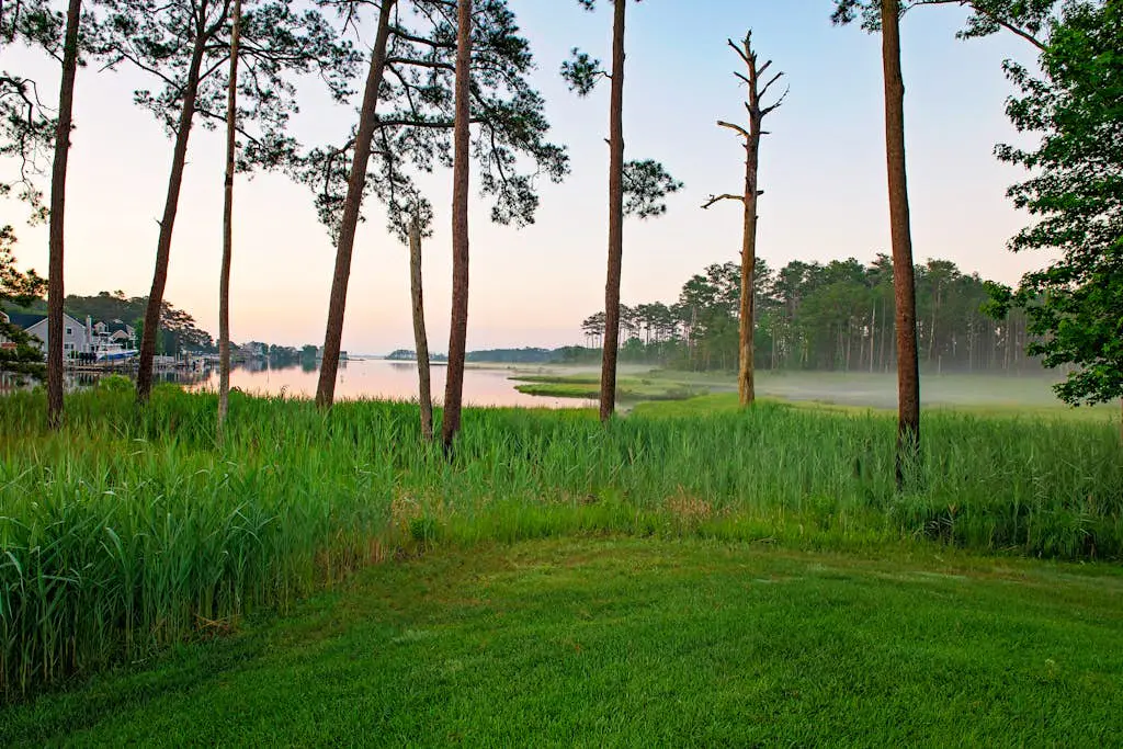 Bayside Resort - 31540 Winterberry Pkwy