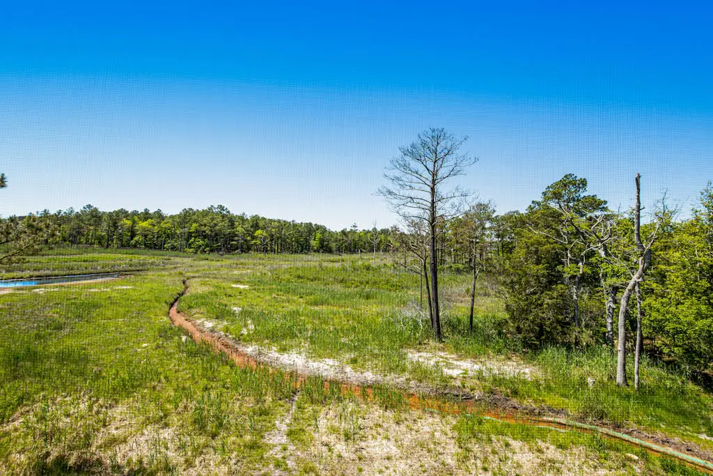 Bethany Bay - 8006 Pettinaro Dr