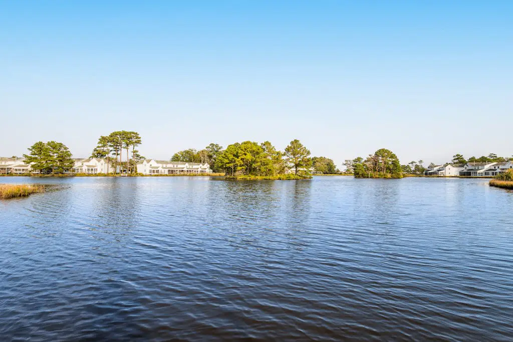 Mallard Lakes - 38243 Cardinal Ln #115