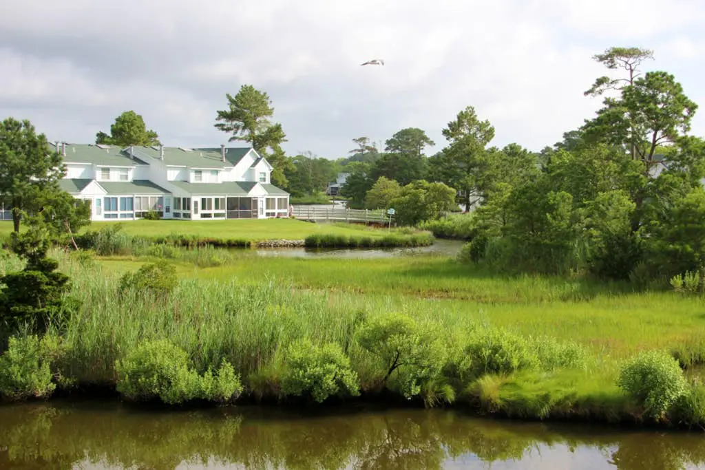 Mallard Lakes - 38256 Hummingbird Ln #218