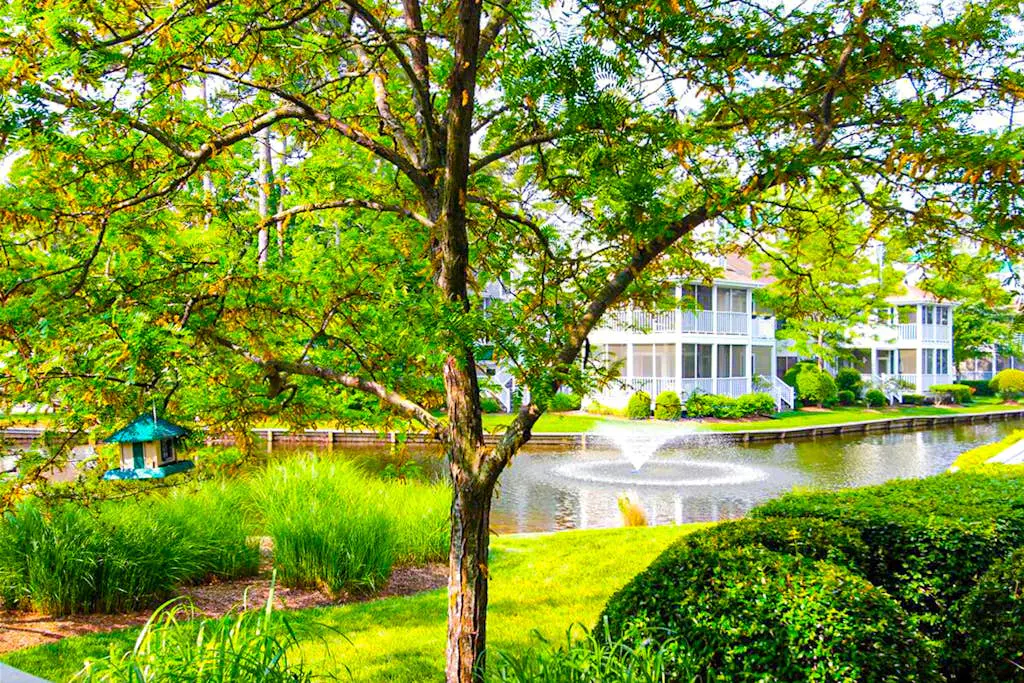 Sea Colony - 13008 Tall Pines Ct