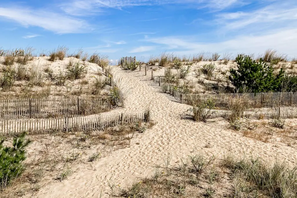 Town of South Bethany - 704 S Ocean Dr