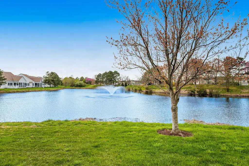 Bear Trap Dunes - 114H Willow Oak