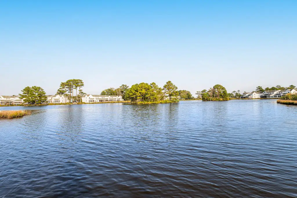 Mallard Lakes - 37816 Eagle Ln Unit 319