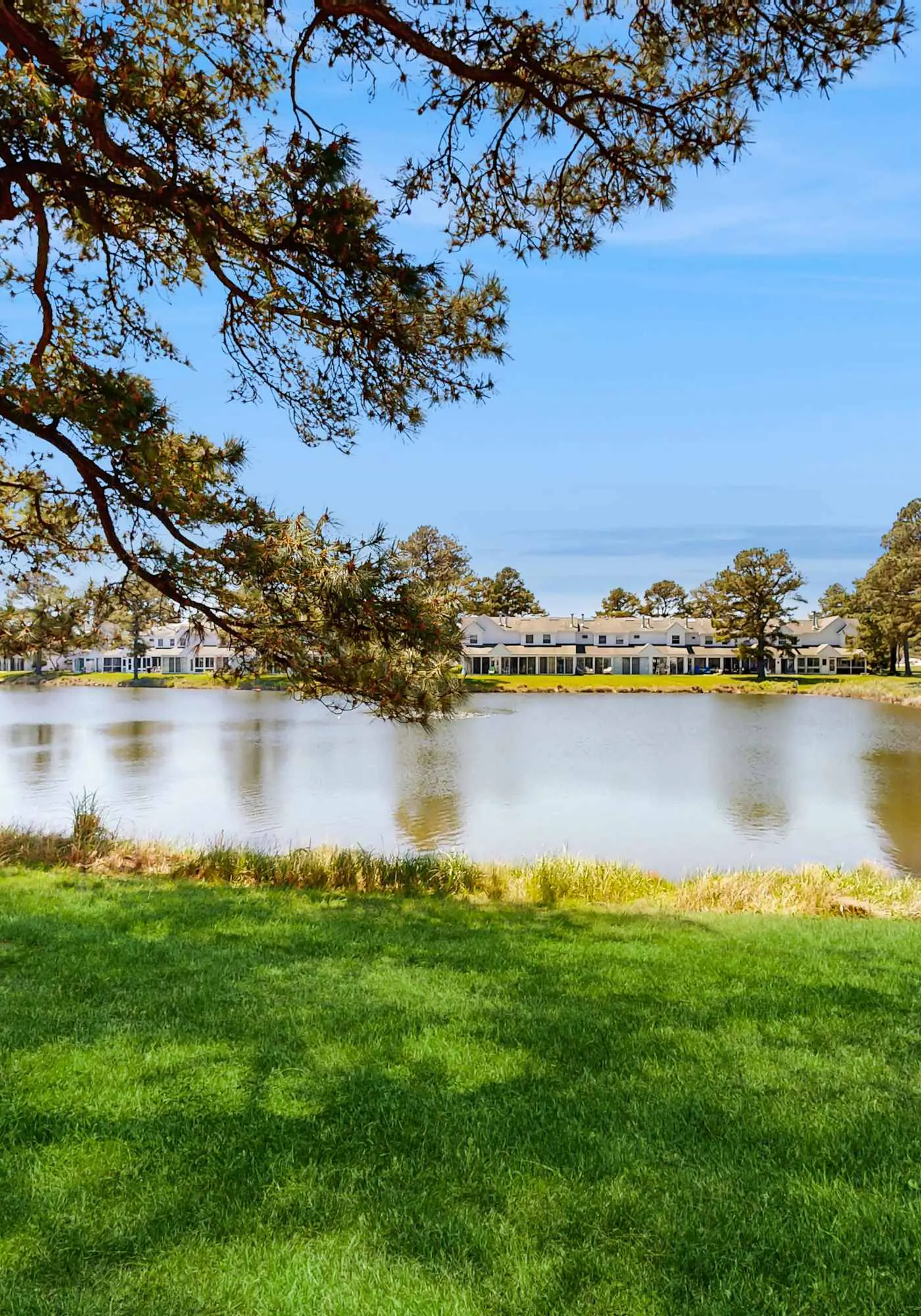 Mallard Lakes - 38082 Mockingbird Ln