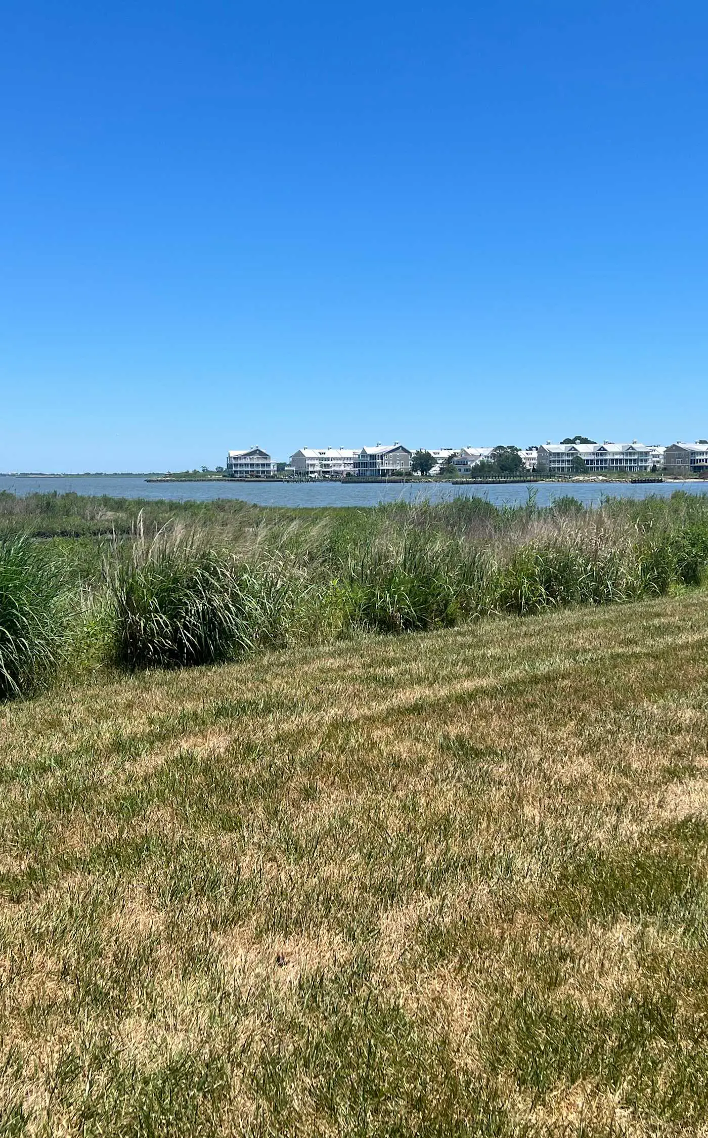 Bethany Bay - 30406 Anderson Dr #101