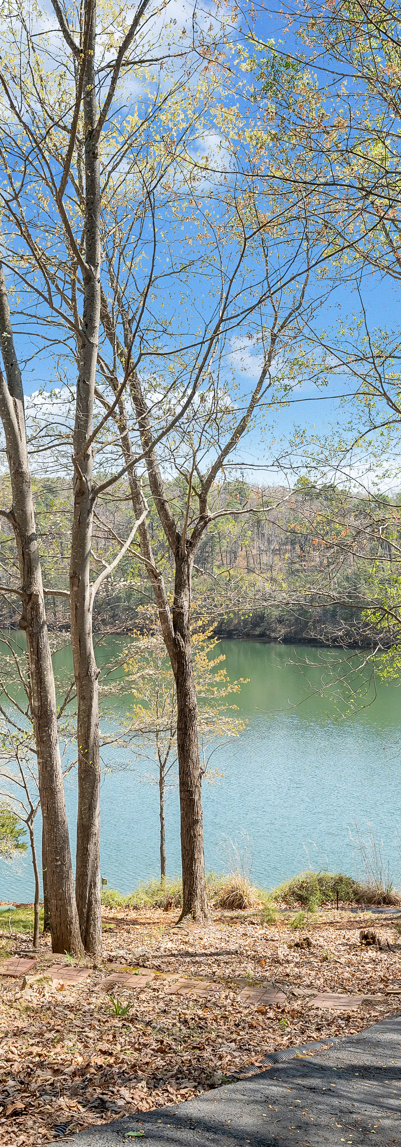 Heron's Cove