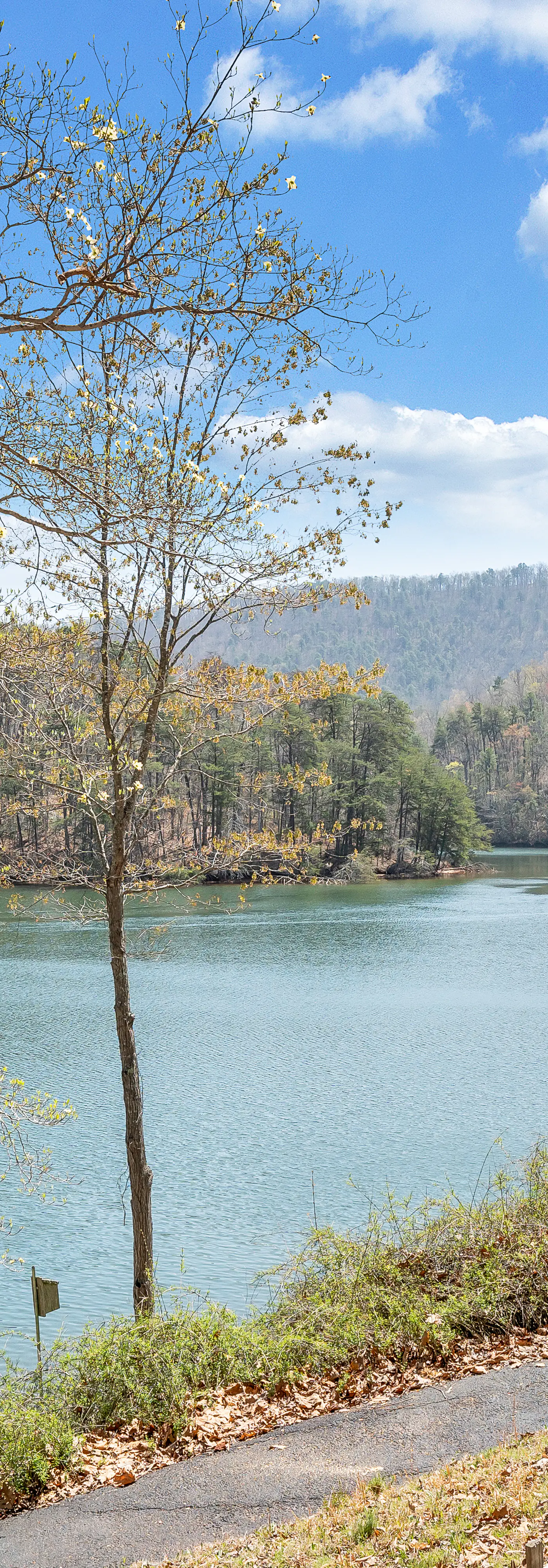Heron's Cove