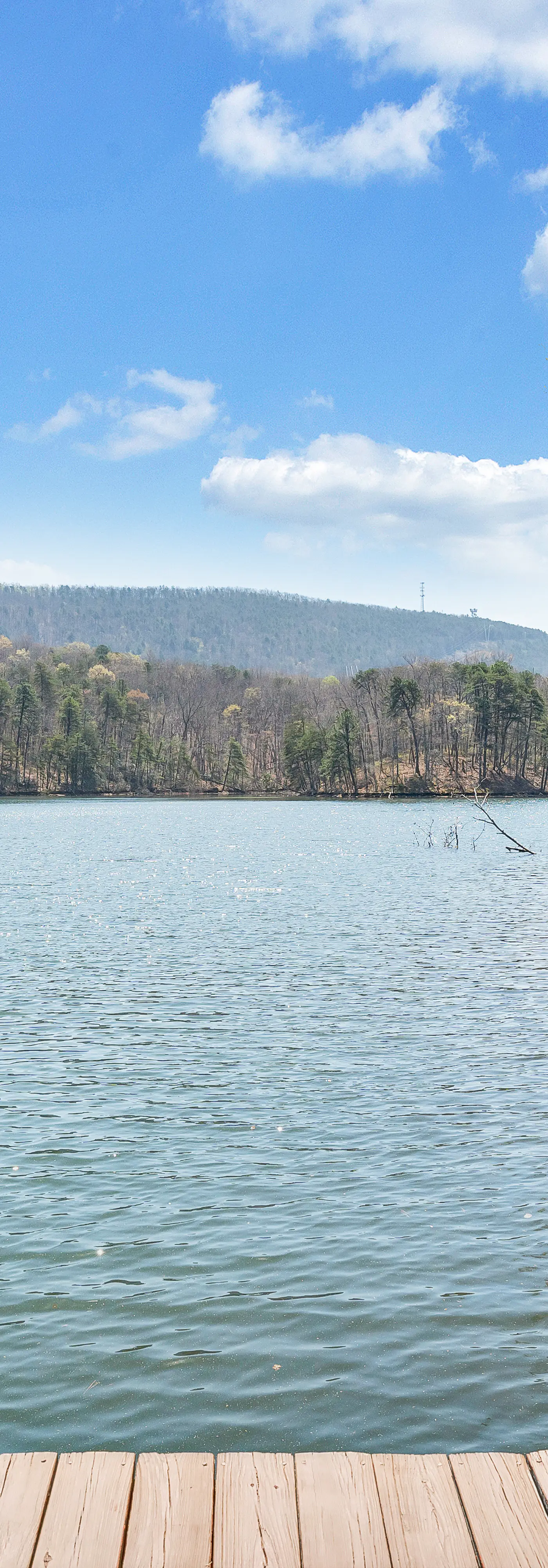 Heron's Cove