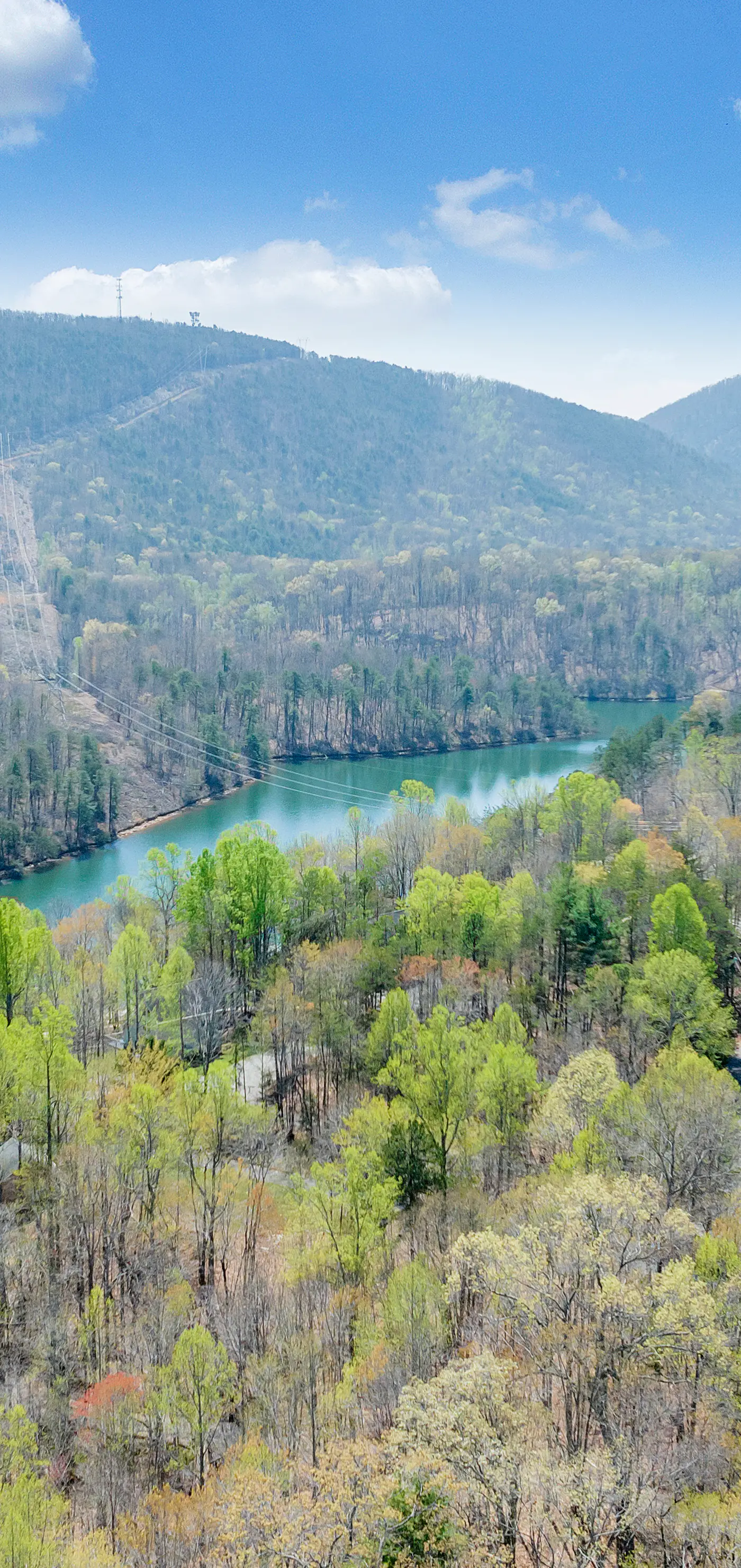 Heron's Cove
