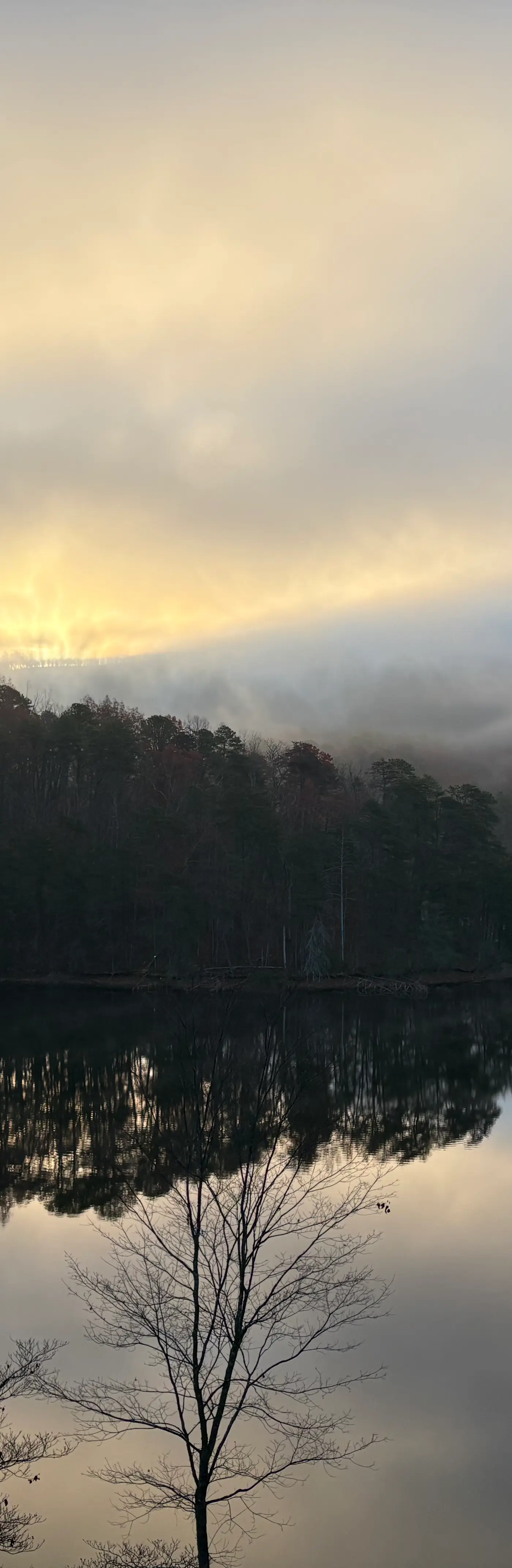Heron's Cove