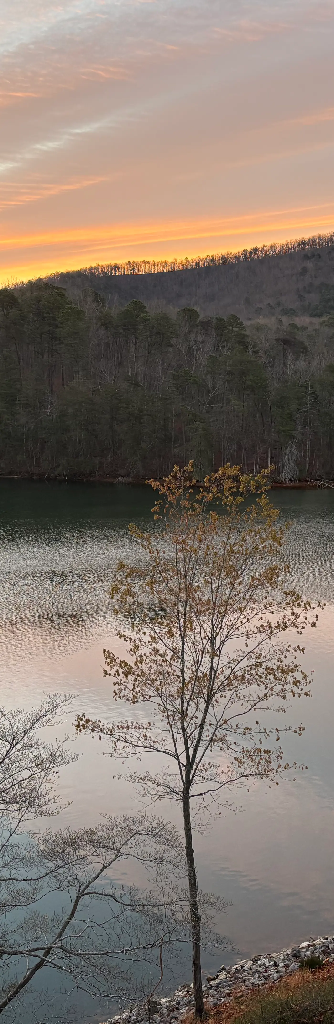 Heron's Cove