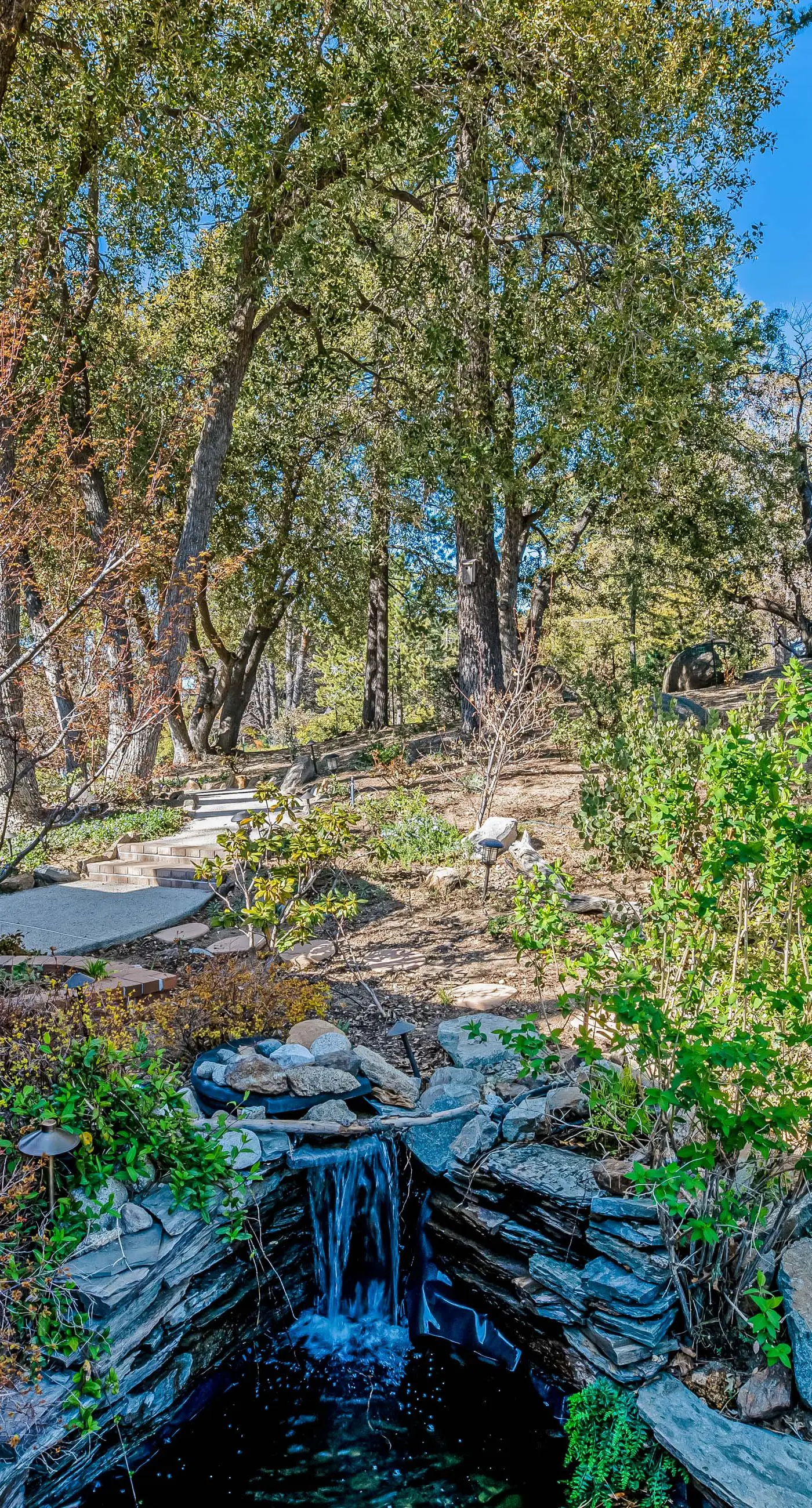 Quail Ridge