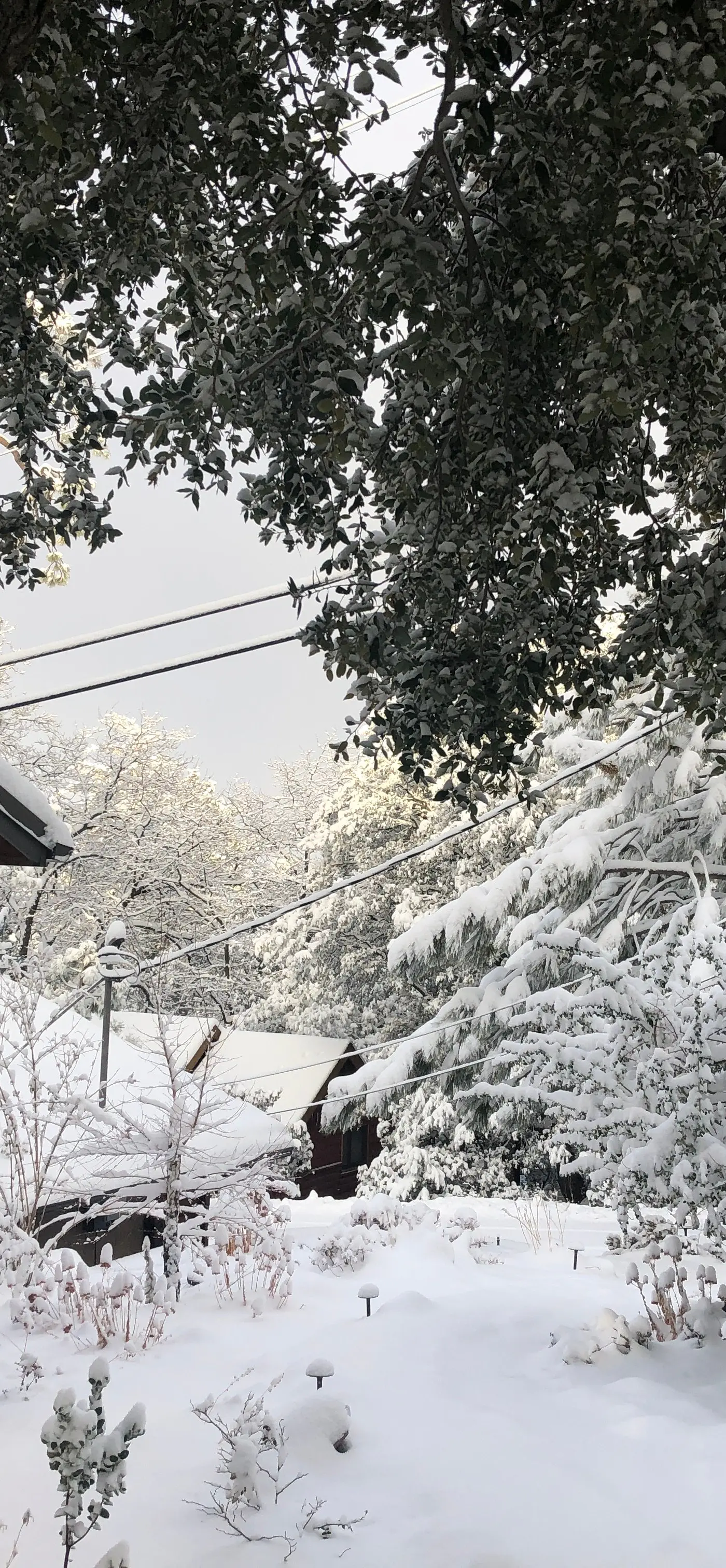 Quail Ridge