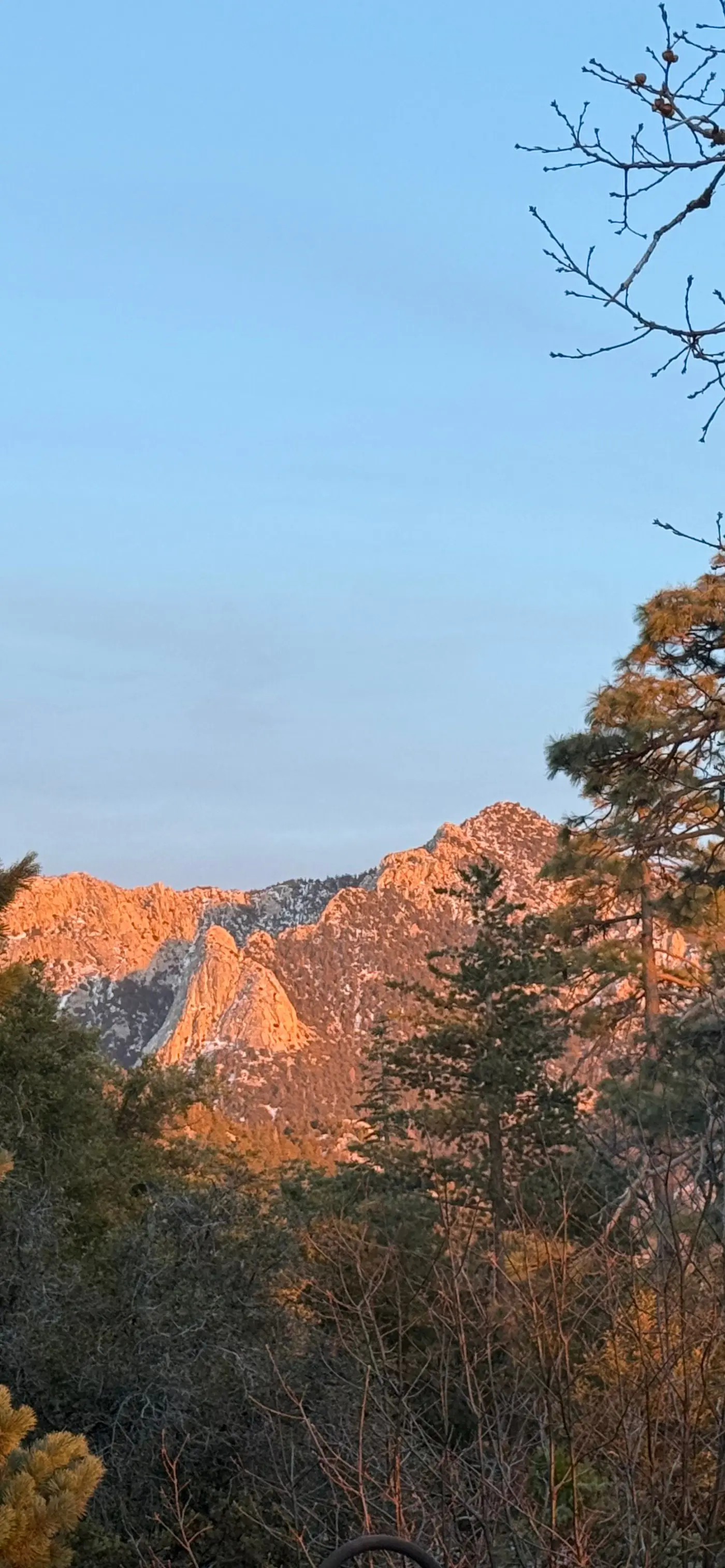 Quail Ridge