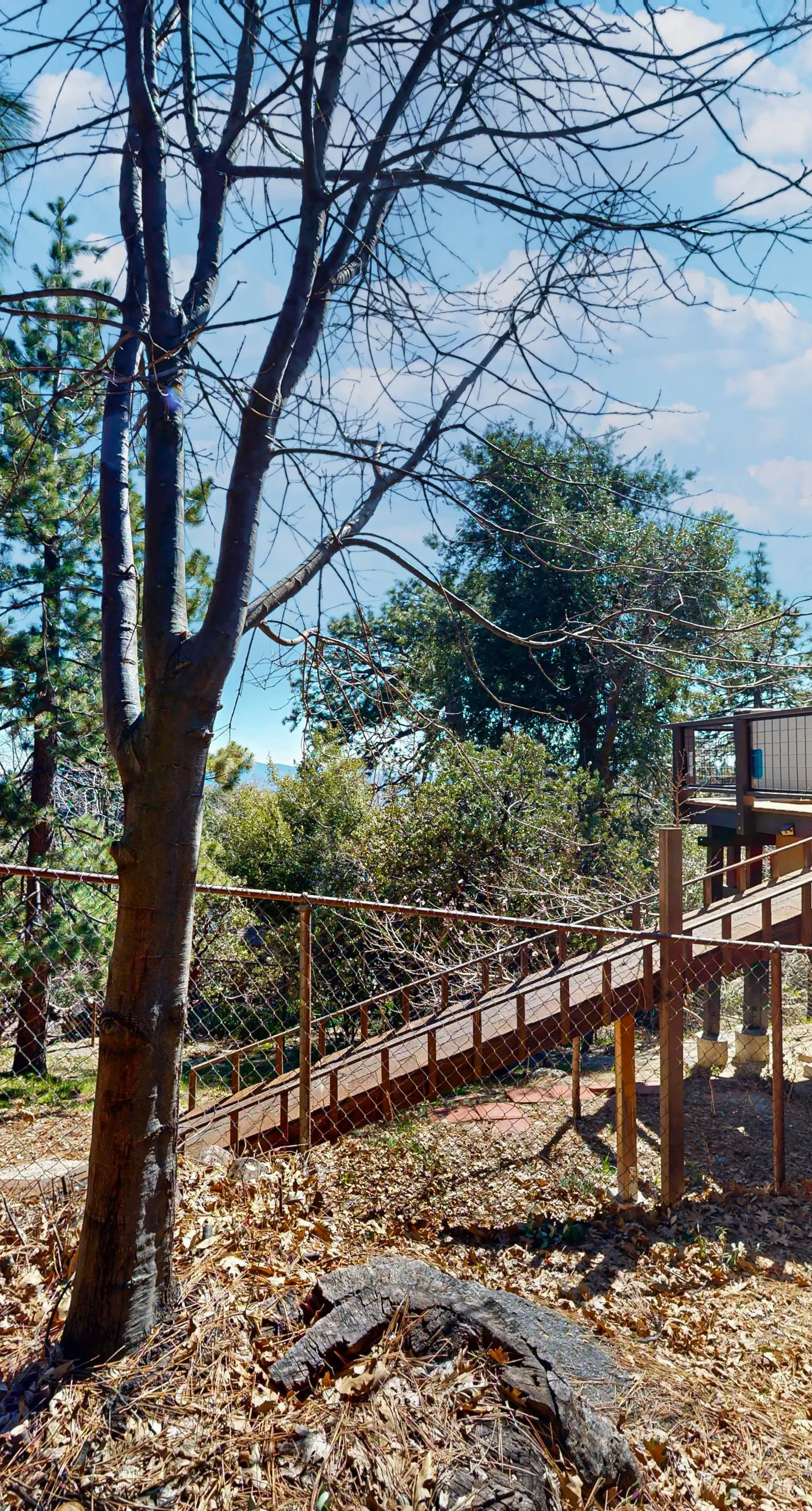 Quail Ridge