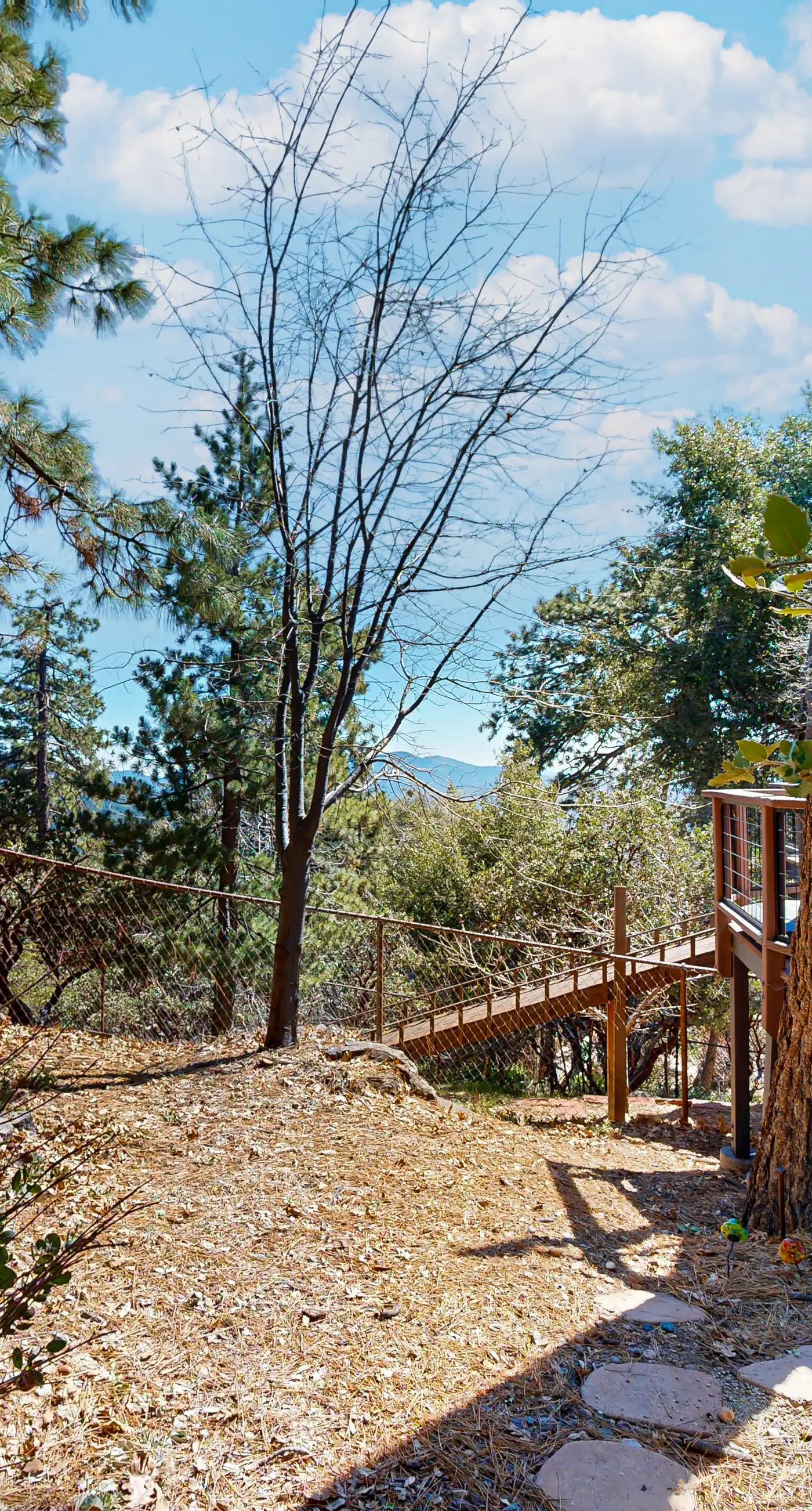 Quail Ridge