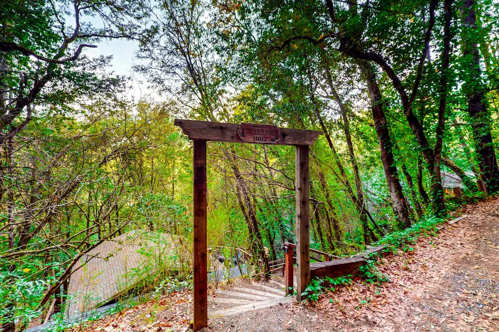 The Lazy Bear - Forestville Dog-Friendly Forest Cabin with Hot Tub