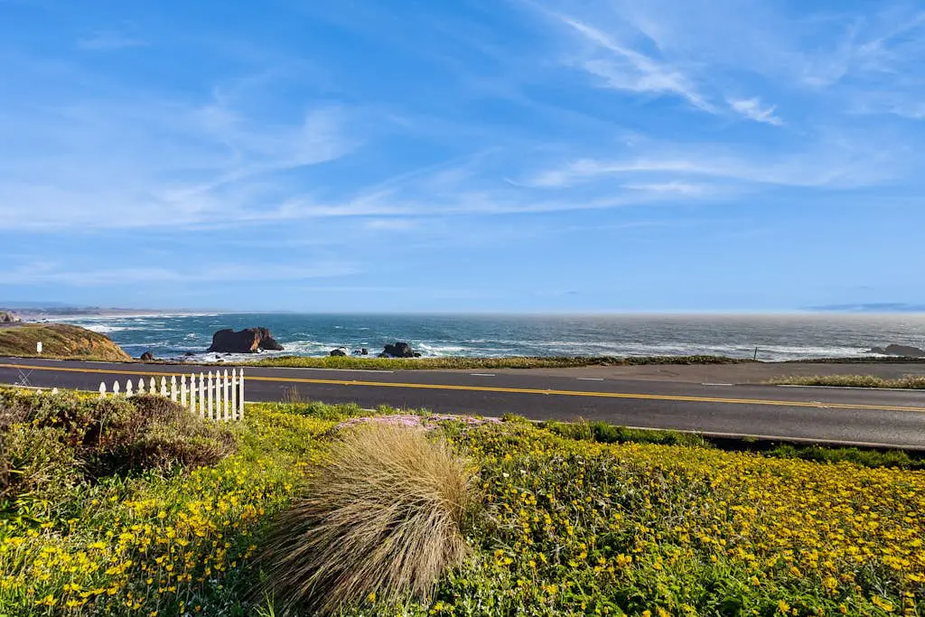 Oceanfront Dog-Friendly Cottage, Bodega Bay