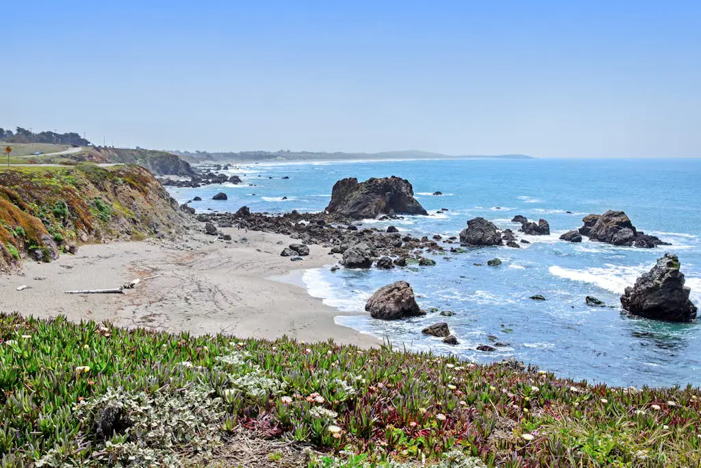 Oceanfront Dog-Friendly Cottage, Bodega Bay