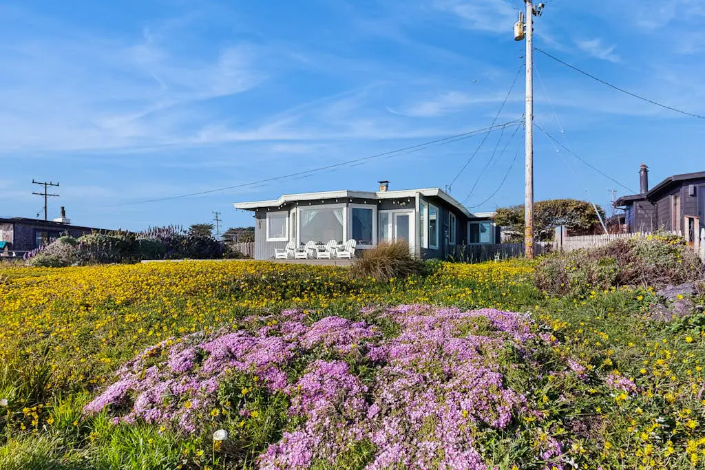 Oceanfront Dog-Friendly Cottage, Bodega Bay
