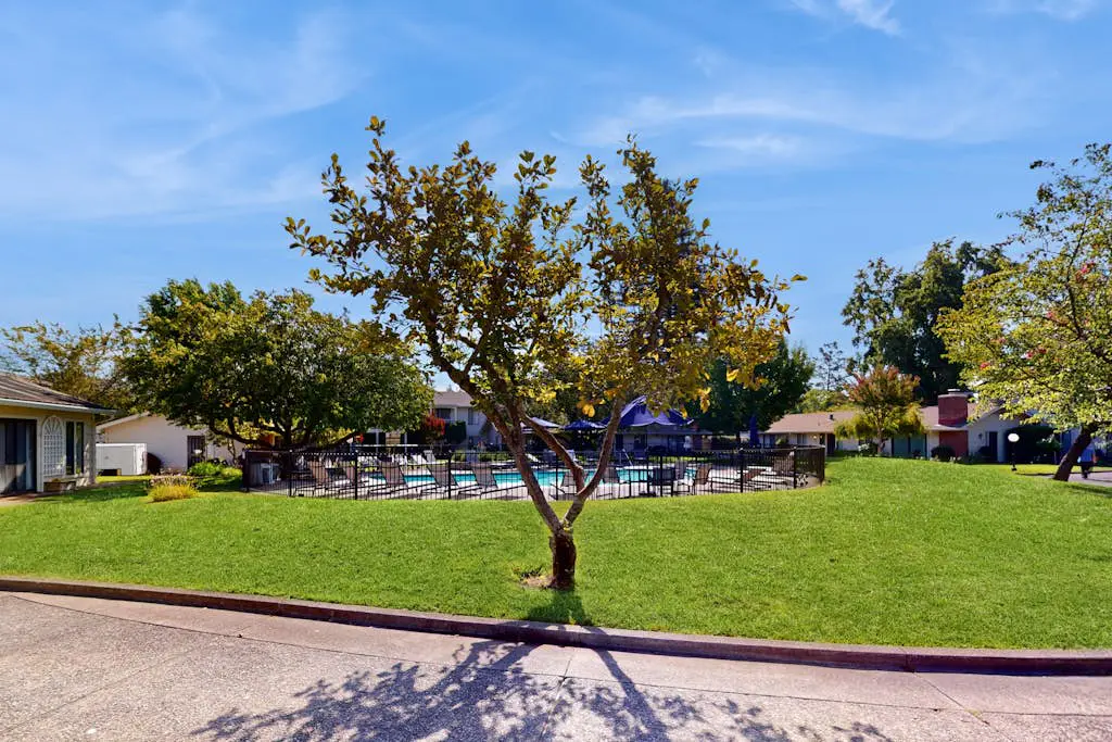 Napa Silverado Resort Studio with Pool Access
