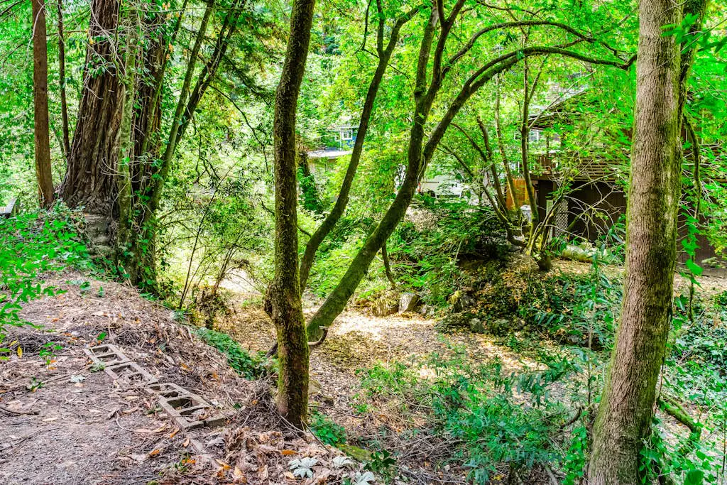 Guerneville Dog-Friendly Redwood Retreat with Deck