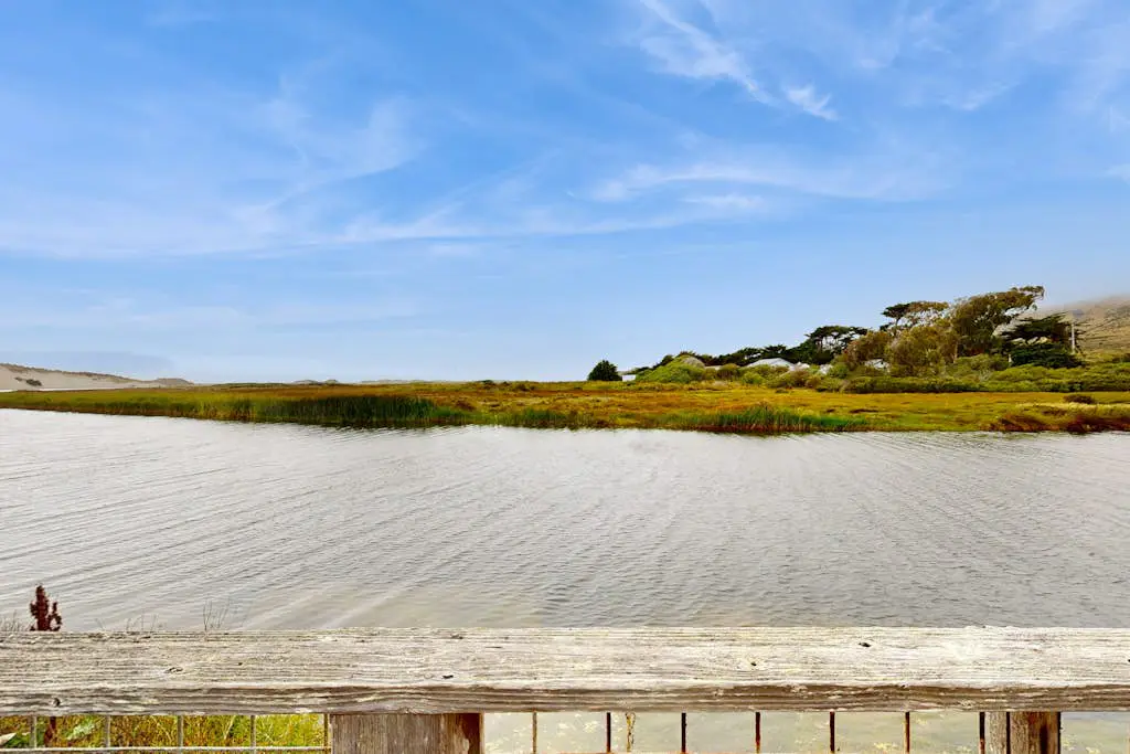 Bodega Bay Salmon Creek Waterfront Cottage for Two and Dogs