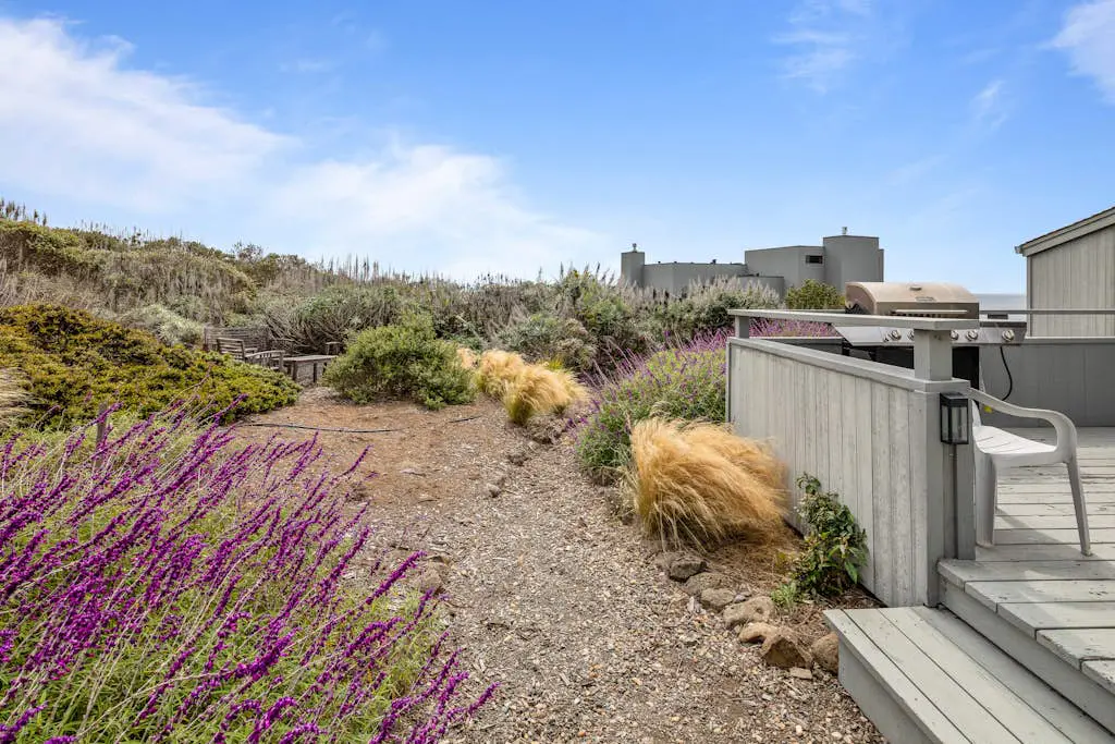 Bodega Harbour Ocean-View Hot Tub Retreat