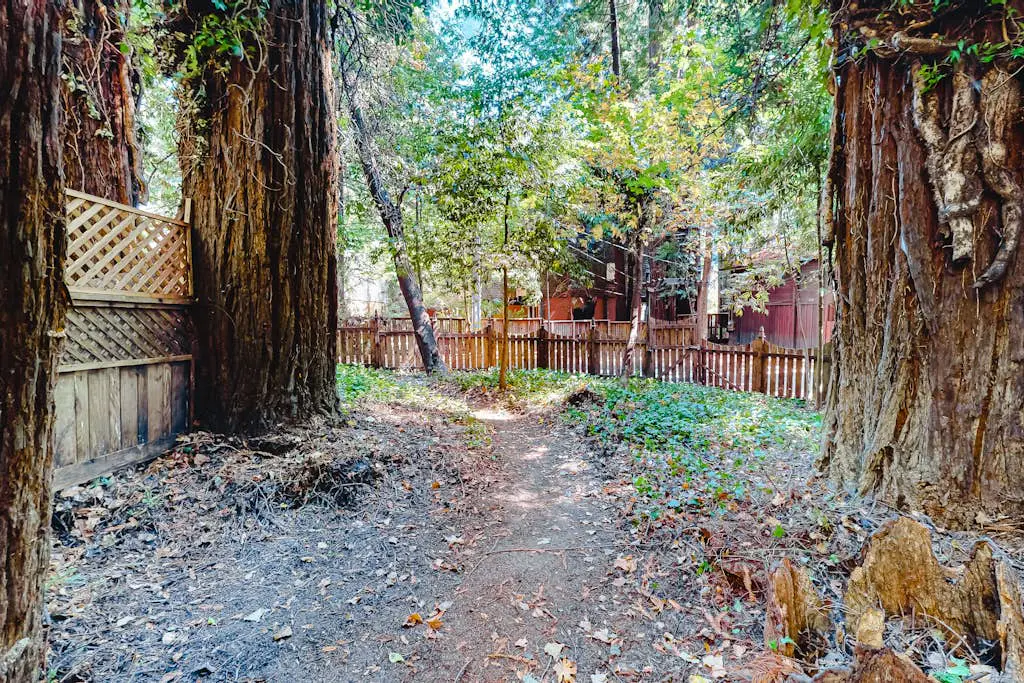 Guerneville Clearheart Grove: Dog-Friendly Redwood Cabin