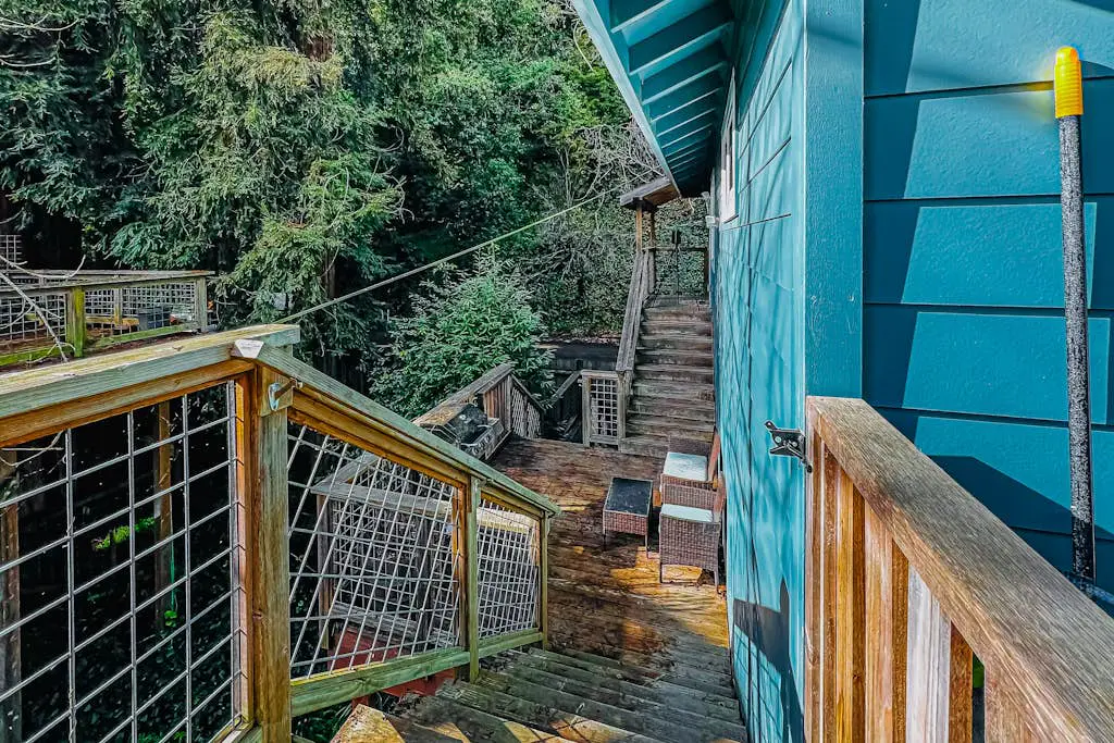 Guerneville Dog-Friendly Forest Hideaway near Downtown