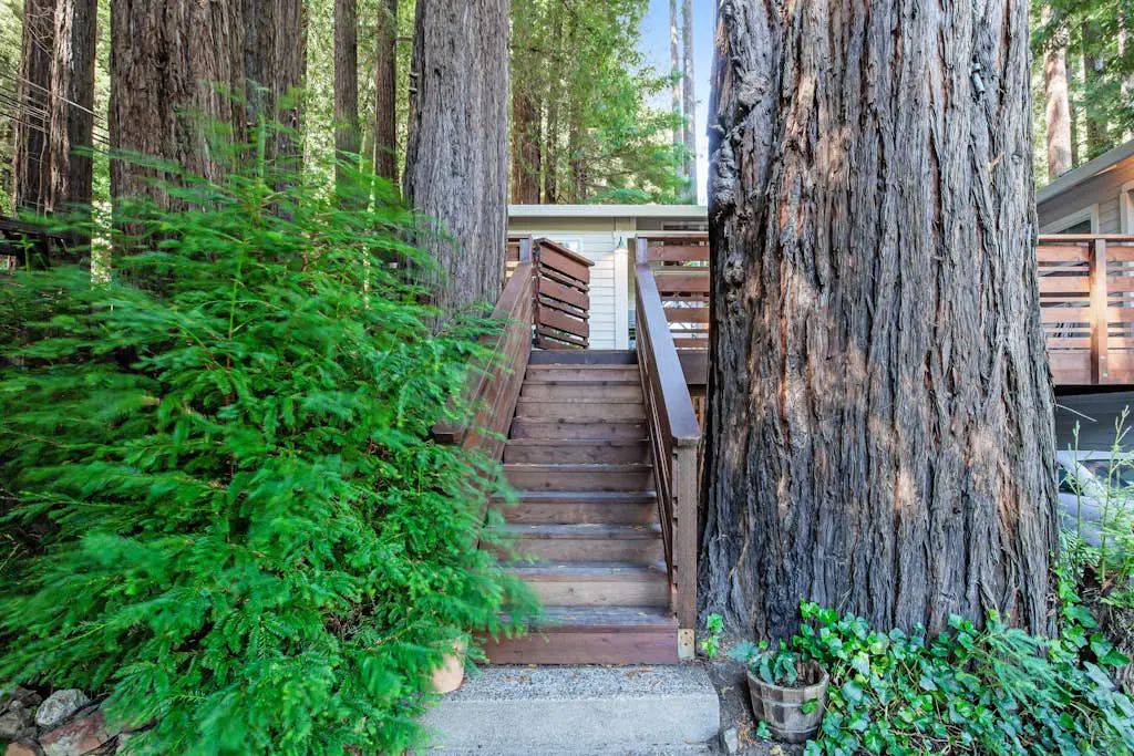 Dog-Friendly Guerneville Cabin near River