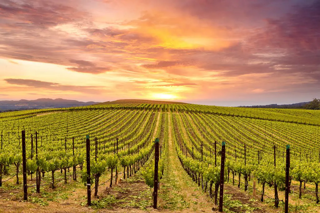Napa Silverado Resort Condo near Pool and Wineries