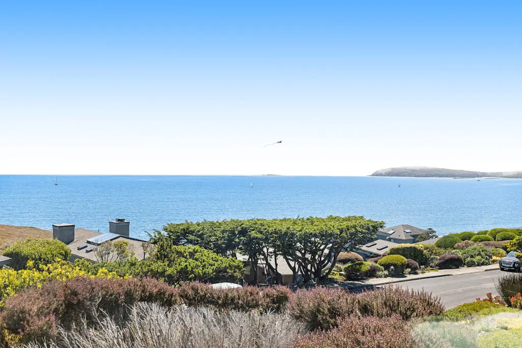 Blue Horizon - Bodega Bay Dog-Friendly Oceanview Home with Hot Tub