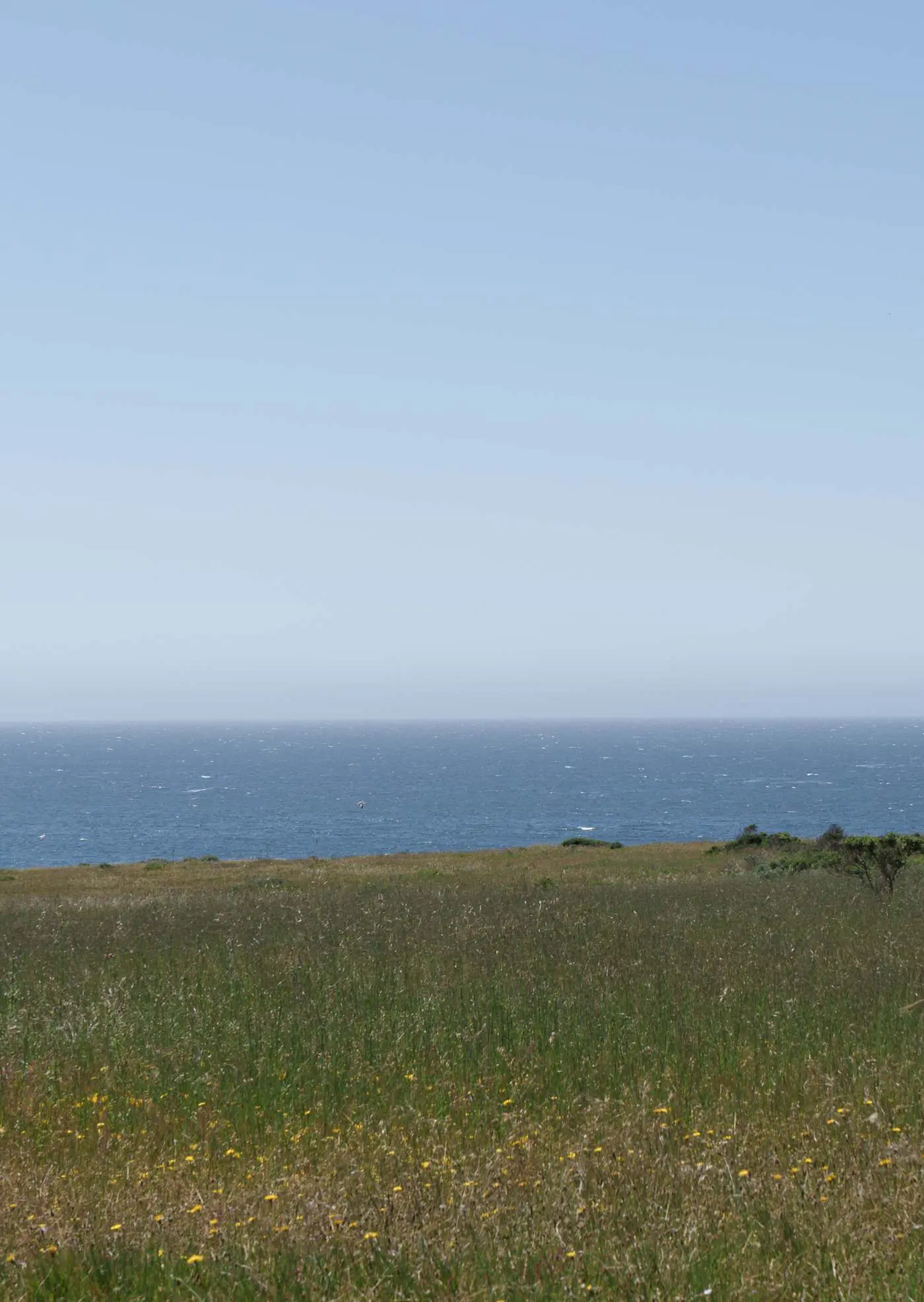Nowell House - Beam-vaulted Sea Ranch home with private hot tub & ocean views