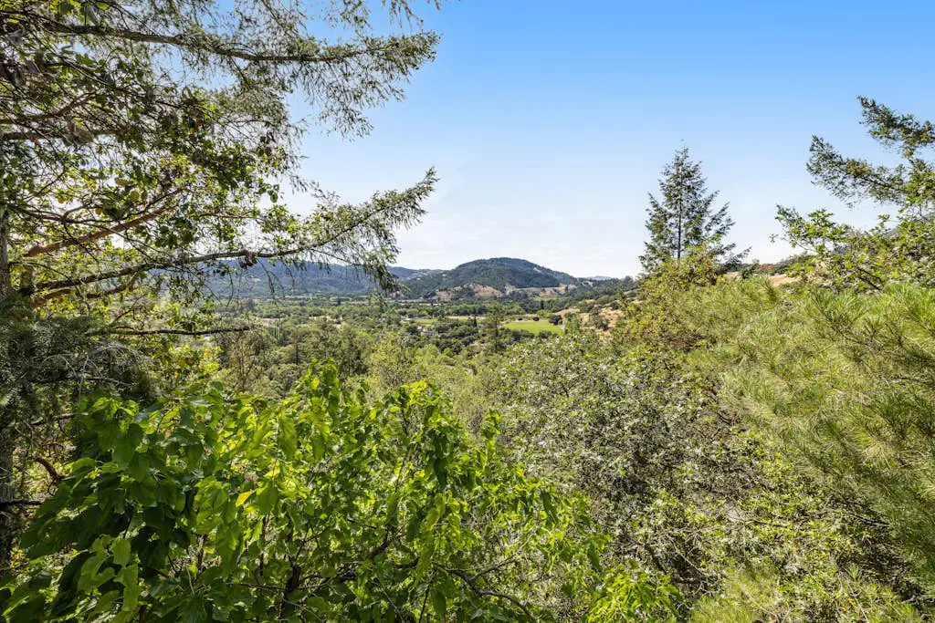 The Nest - Cloverdale Dog-Friendly Pool Retreat near Wineries