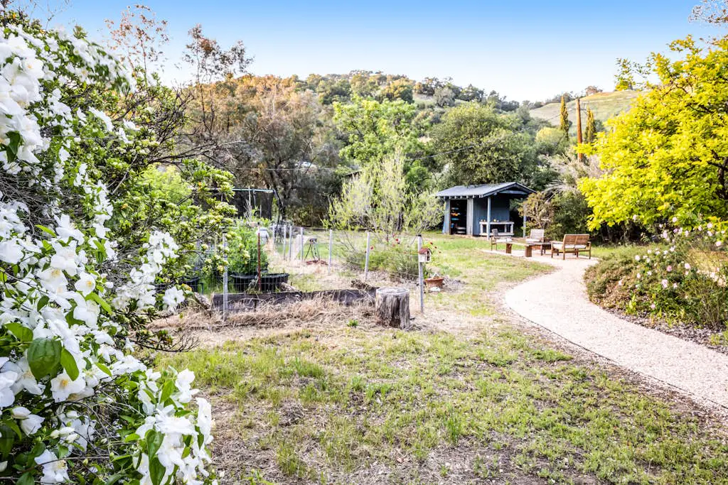 Cloverdale Creekside Retreat - Cloverdale Dog-Friendly Riverfront Cottage with Deck