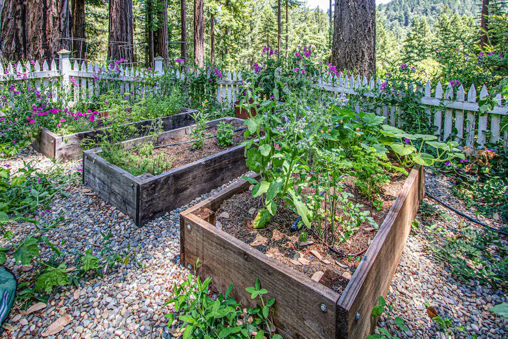 Sunrise Mountain Retreat - Cazadero Mountain Hot Tub Cabin in the Redwoods