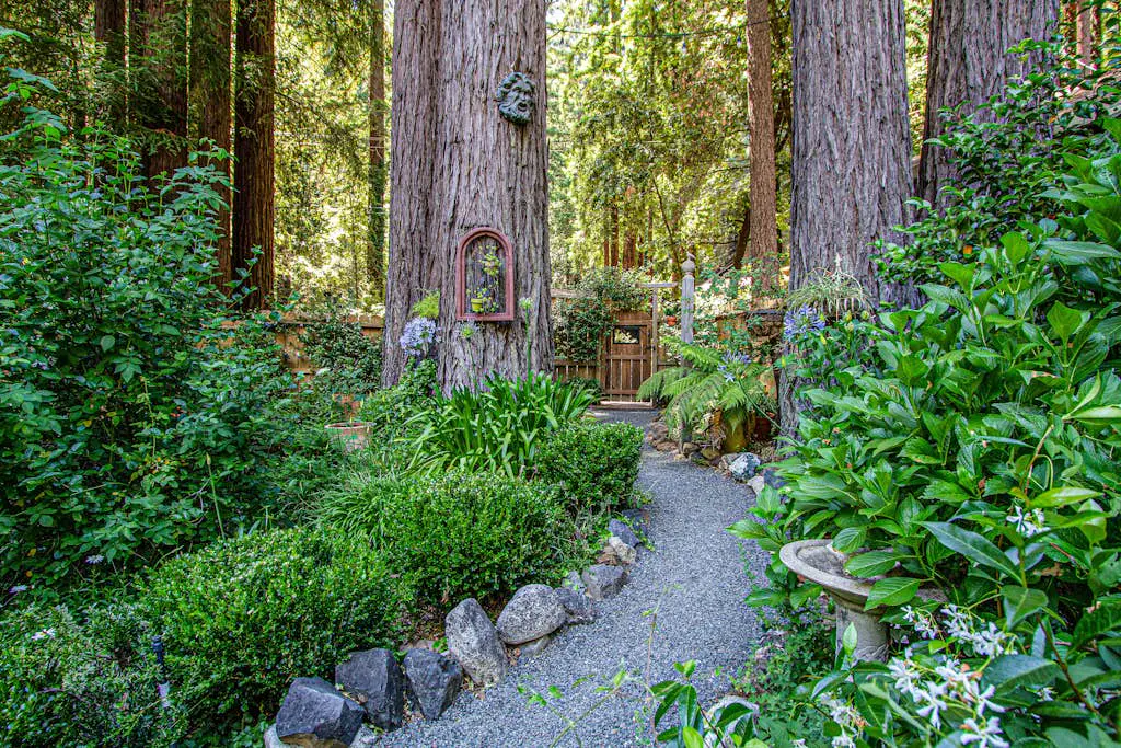 Sunrise Mountain Retreat - Cazadero Mountain Hot Tub Cabin in the Redwoods