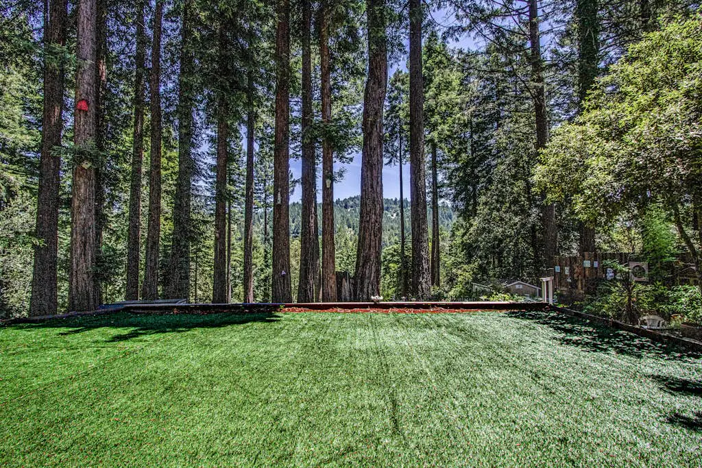 Sunrise Mountain Retreat - Cazadero Mountain Hot Tub Cabin in the Redwoods