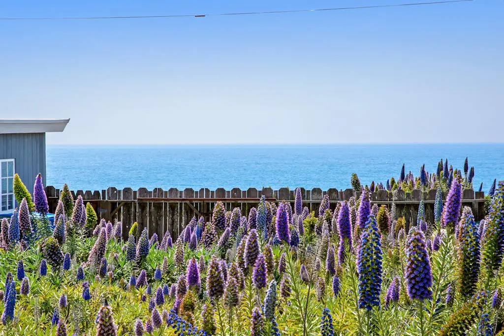 Cozy Carmet Cottage - Bodega Bay Dog-Friendly Oceanview Cottage with Hot Tub