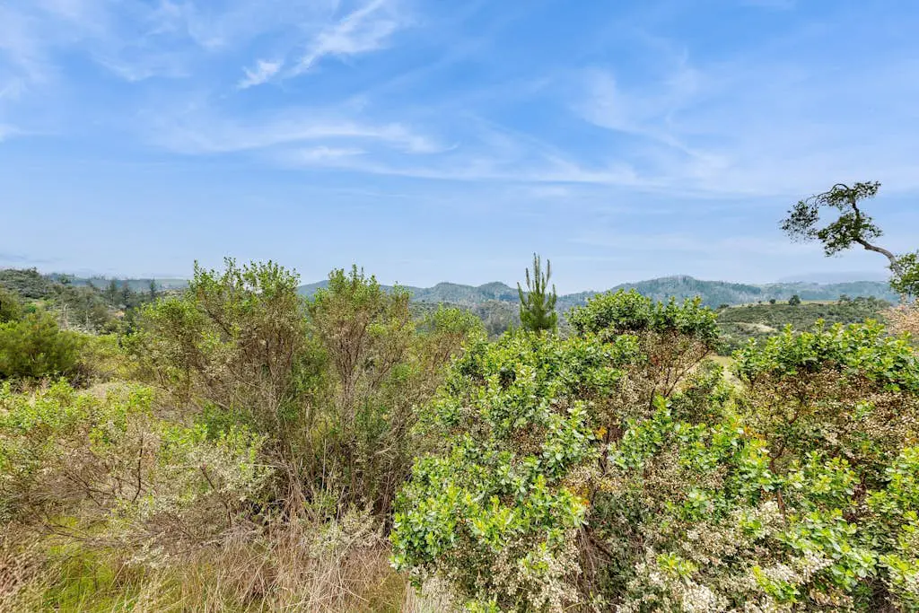 Franz Valley Escape - Calistoga Hilltop Home with Pool, Hot Tub and Vineyard Views