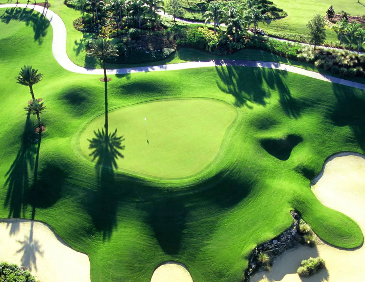 The Enchanted Oasis