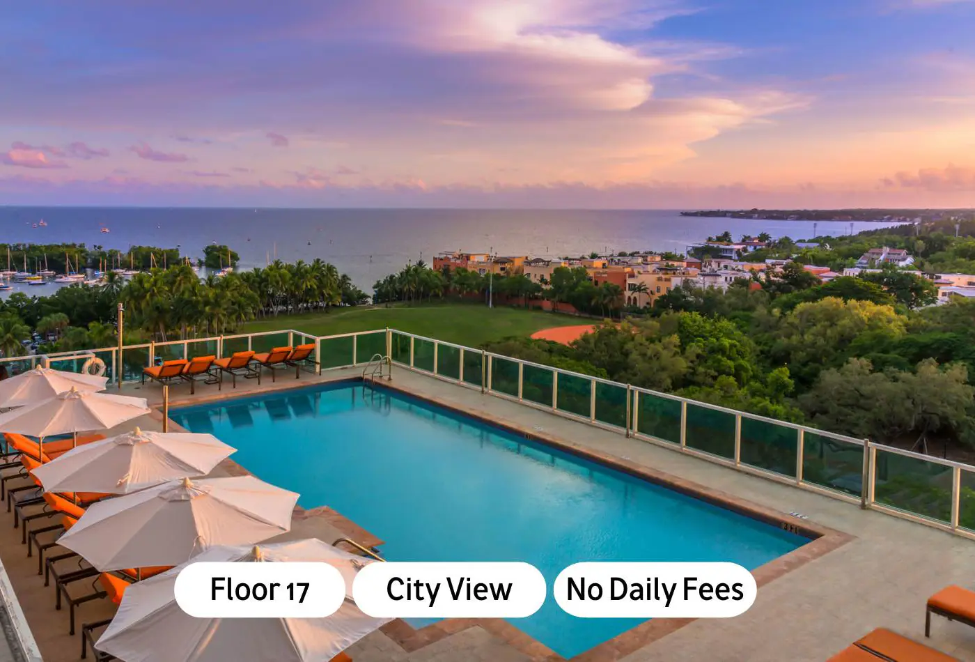 World Cup Base | Chic Coconut Grove Suite