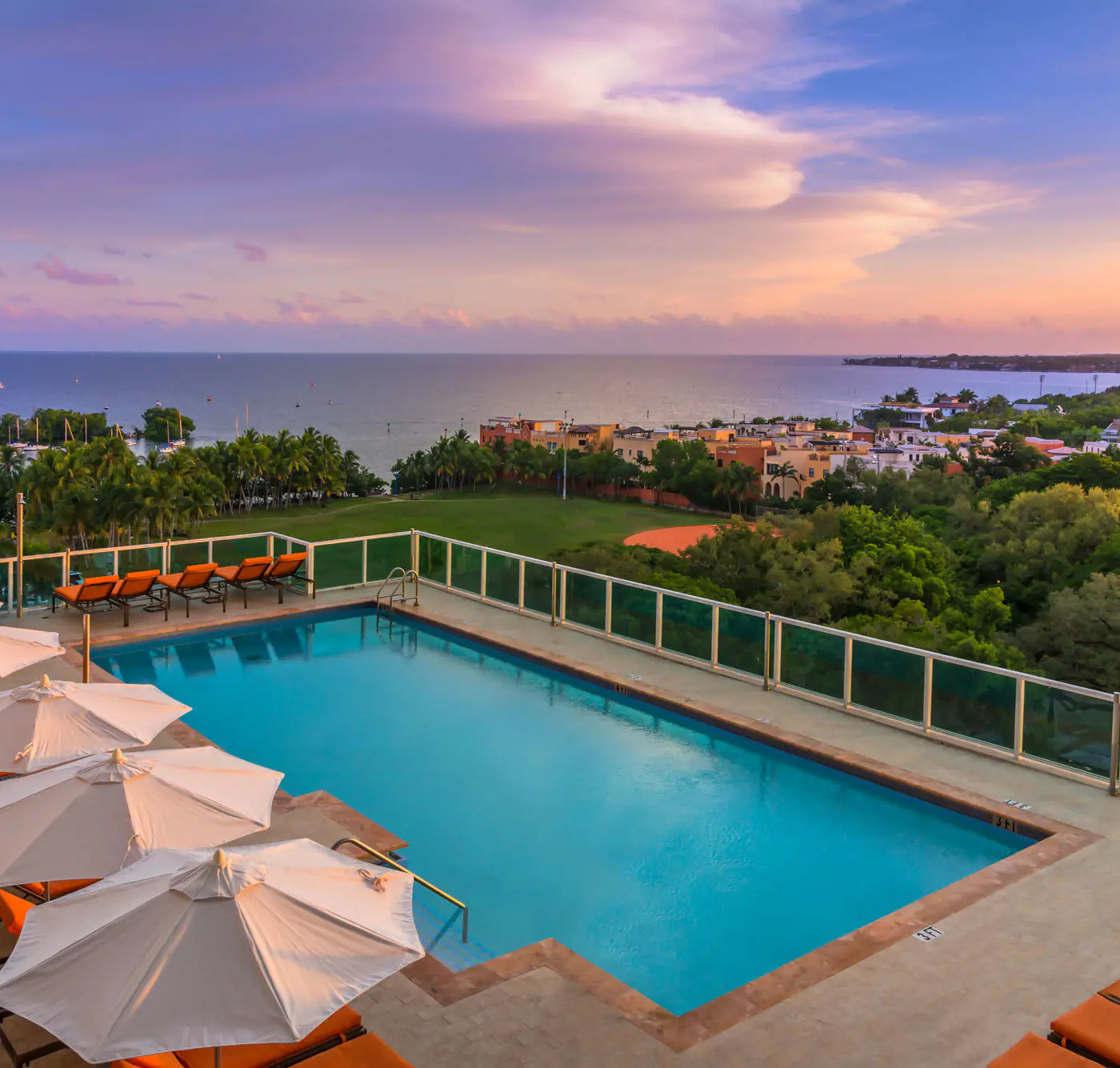 Insane Ocean View Suite - Coconut Grove Oasis