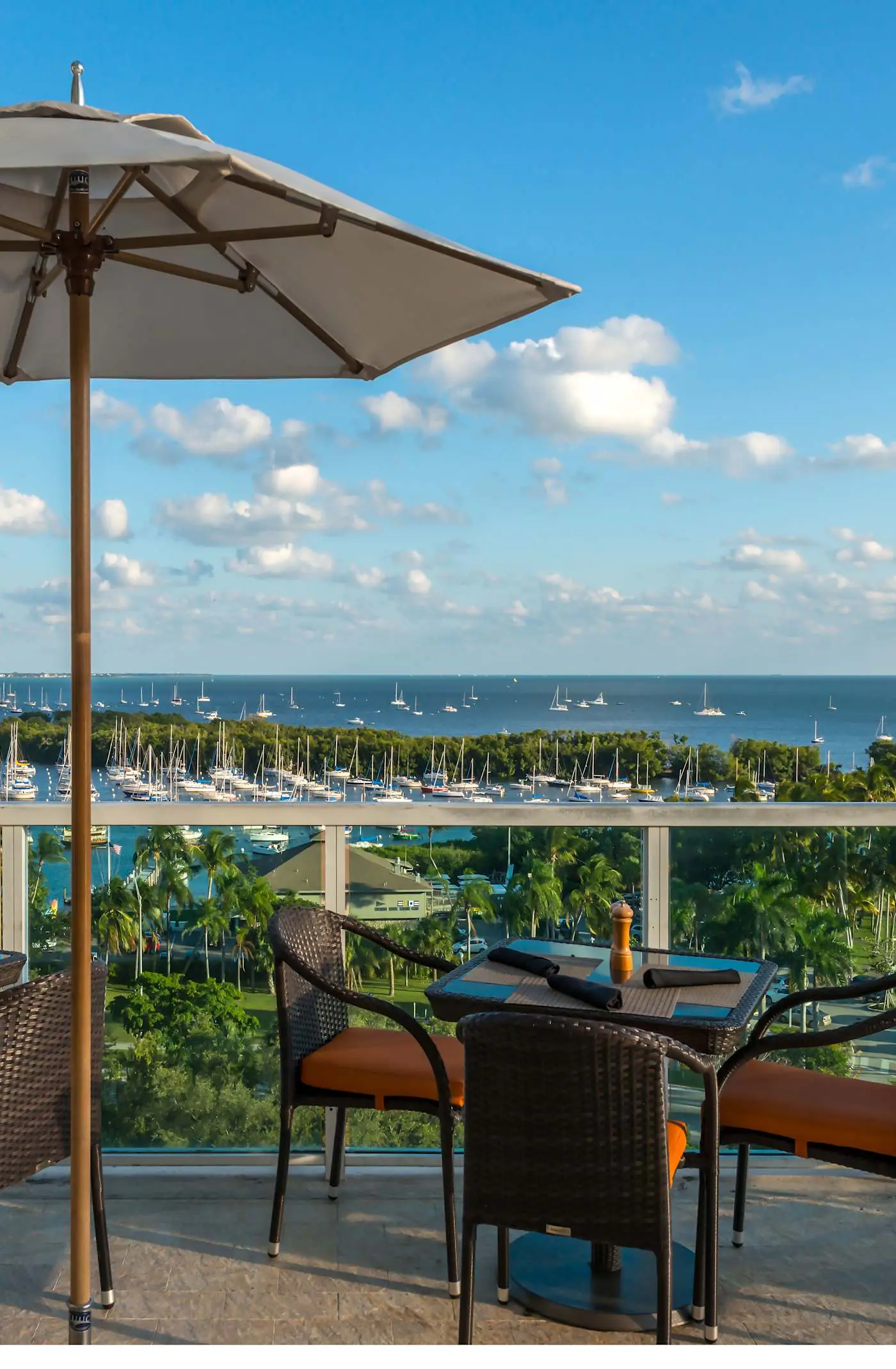 Insane Ocean View Suite - Coconut Grove Oasis