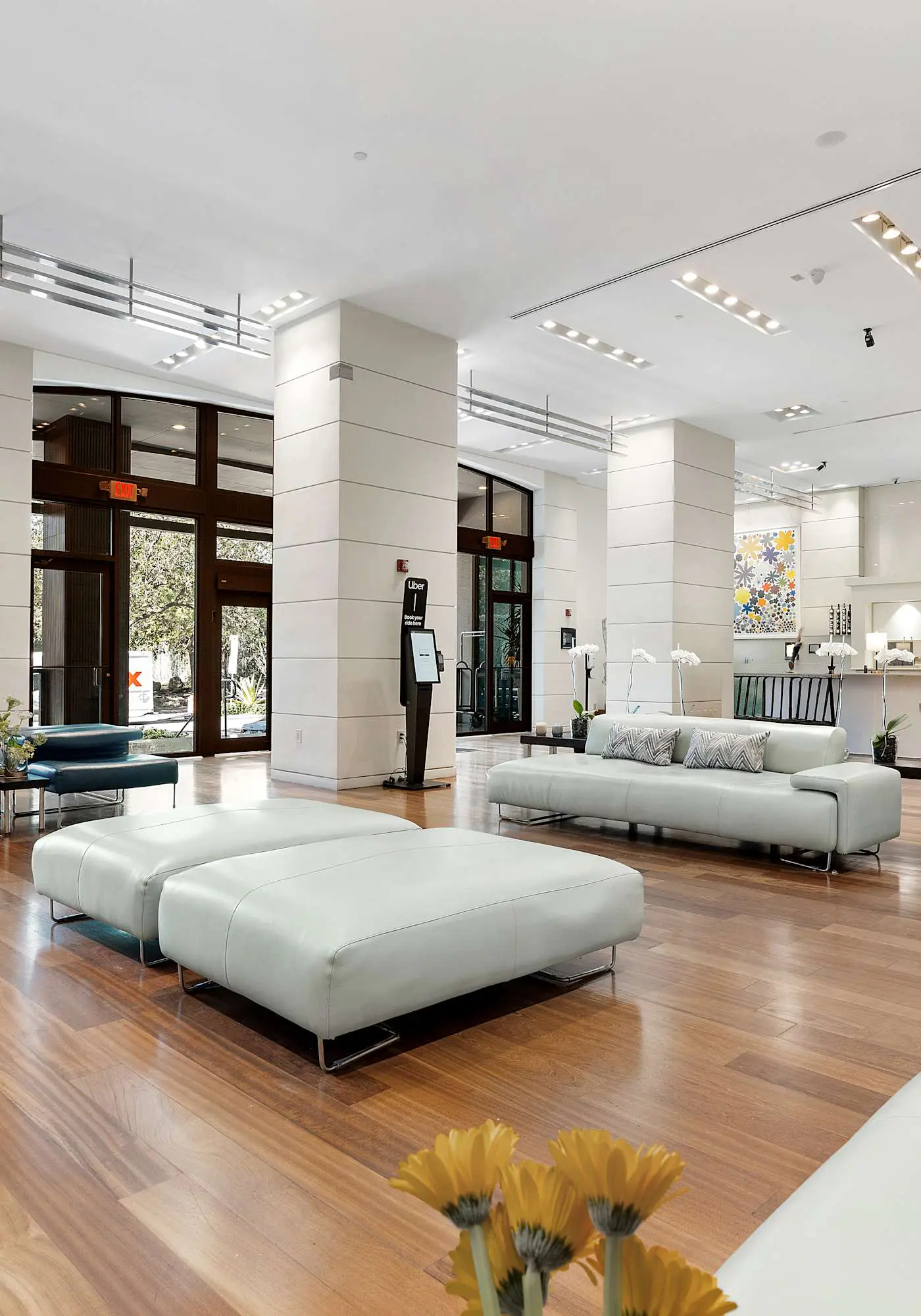 Insane Ocean View Suite - Coconut Grove Oasis